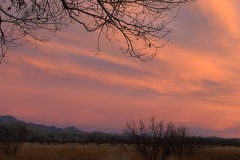 San Pedro Riparian National Conservation Area