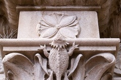 Horned Toad, yucca and prickly pear, St. Augustine Cathedral