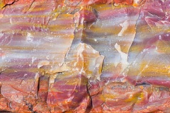 Fragment of petrified log, Rainbow Forest