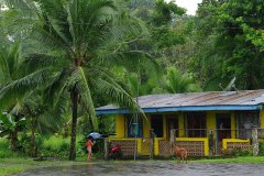 Rain shower in Cahuita