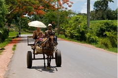 In Viñales