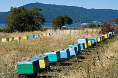 Beehives, Lake Mikri Prespa  