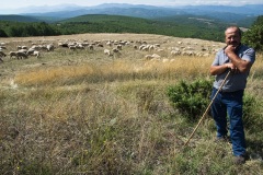 Vassily, a Vlach shepherd  