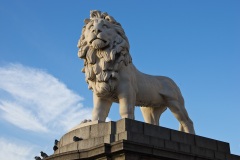 The South Bank Lion