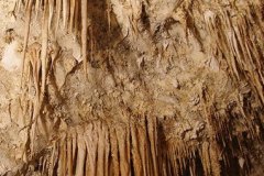 Soda straws, Carlsbad Caverns