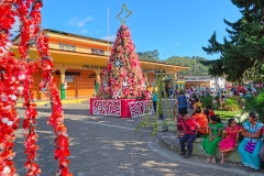 Christmas in Boquete