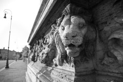 Lion on Ponte Vittorio Emanuele II