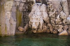 Nile lion, Fontana dei Quattro Fiumi